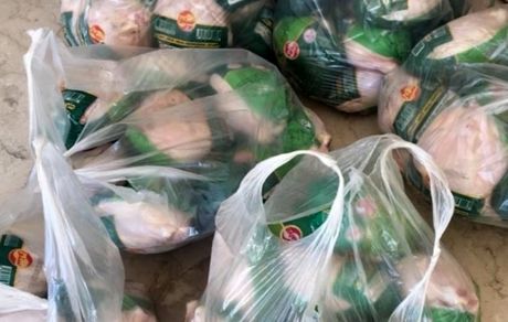کمک رسانی لیلا بلوکات + عکس