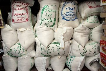 برنج ارزان شد + قیمت