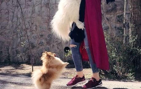 مریم معصومی با سگ بزرگ و وحشتناکش در بغل + عکس