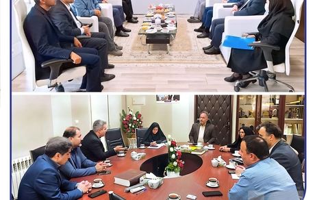 حضور مدیرعامل بیمه سرمد در خراسان جنوبی؛ توسعه همکاری‌ها و همدلی با خانواده سرمد