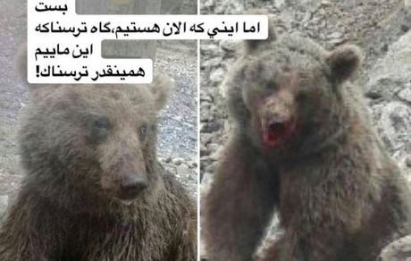 ترس مژده لواسانی از آدم‌ها