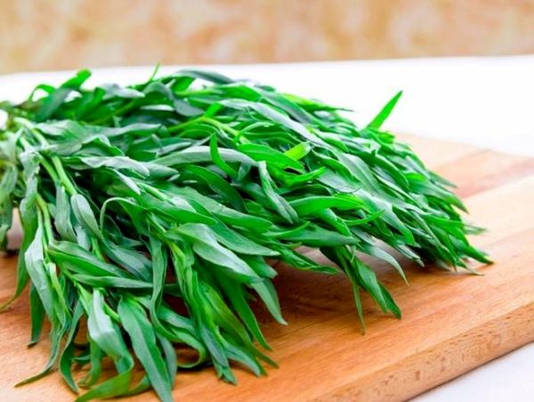 با خواص مرزه آشنا شوید/ از نابودی انگل‌های روده تا تسکین درد‌های مفصلی با خوردن مرزه