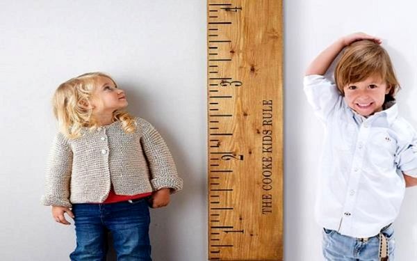 خوراکی هایی برای افزایش قد