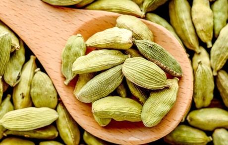 هل یکی از پرنوسان ترین محصولات وارداتی چند سال اخیر!
