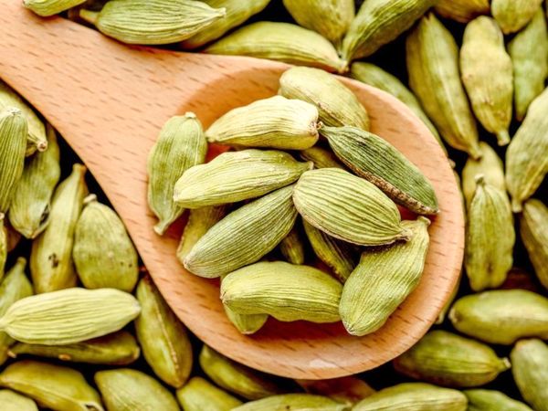 هل یکی از پرنوسان ترین محصولات وارداتی چند سال اخیر!
