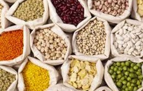 به جای گوشت این مواد غذایی را مصرف کنید