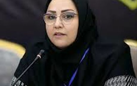 جلسه مجازی پهنه غرب کشور شبکه «ایران یاران جوان» برگزار شد