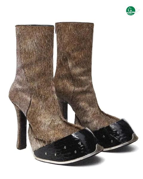 عکسی از کفش‌هایی با طرح سم الاغ