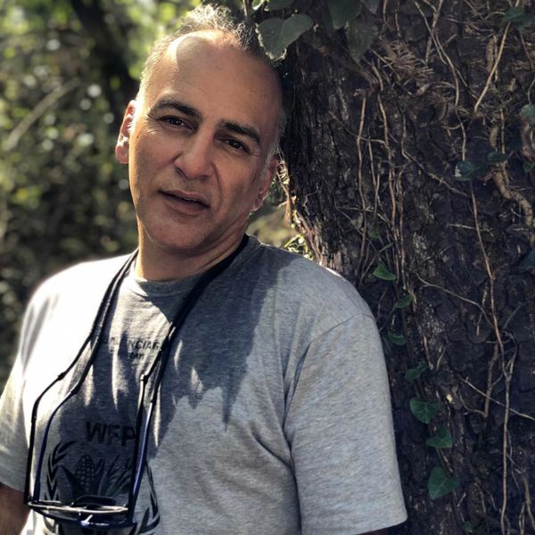  حمیدرضا آذرنگ تکیه بر درخت  + عکس