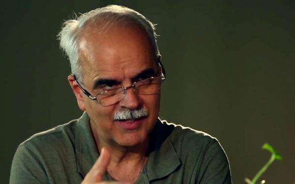 کاهش سن تن‌فروشی کودکان خیابانی