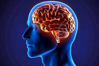 فریز کردن مغز برای حیات دوباره در آینده