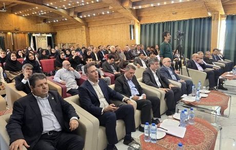 حذف شرط پرتفوی مثبت برای تمدید پروانه شبکه نمایندگان بیمه ایران