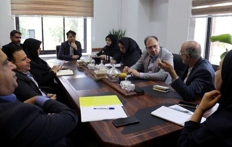 توافق صندوق احیا و صندوق بیمه روستائیان در زمینه بیمه هنرمندان صنایع دستی