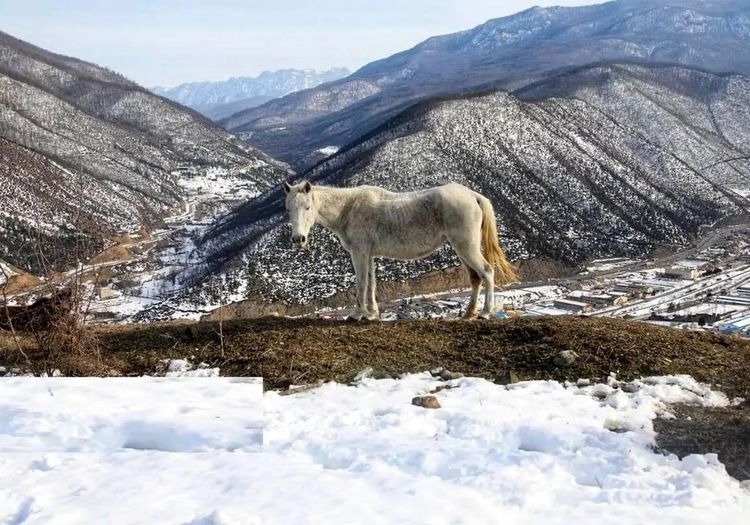 طبیعت برفی دریاچه شورمست سوادکوه
