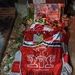 عکسی از مزار الهه‌ حسین‌ نژاد با پرچم پرسپولیس