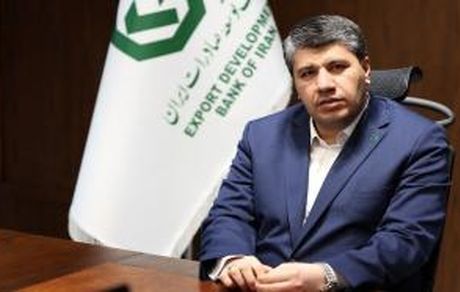 مدیرعامل بانک توسعه صادرات ایران؛ رشد ٨۴ درصدی تسهیلات پرداختی به بخش های تولیدی صادرات محور