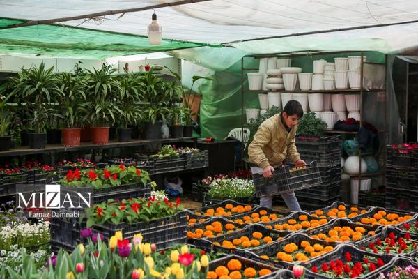 بازار گل محلاتی