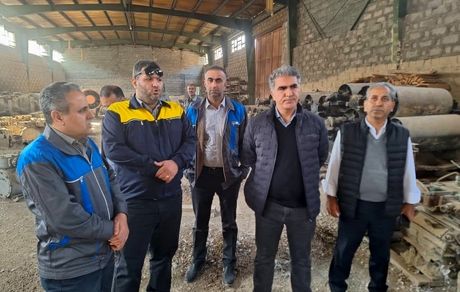 مدیرعامل ایمپاسکو؛ اولویت ما بهبود بهره‌وری و حفاظت از محیط‌ زیست در مجتمع البرز غربی است