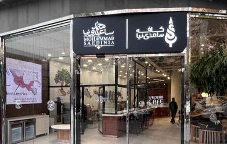 کدام مجتمع ساعدی‌نیا فعال است؟