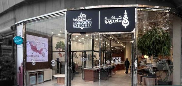 کدام مجتمع ساعدی‌نیا فعال است؟