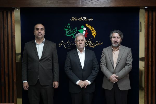 صندوق؛ الگویی پایدار و توانمند در بیمه‌های اجتماعی