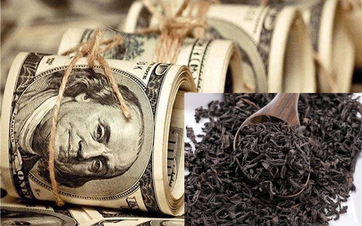 داغی چای دبش جگر ما را سوزاند/ با رقمِ اختلاس چای دبش چه کارها می‌شود کرد؟​