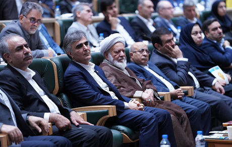 قدردانی فرزین از عملکرد بانک ملی ایران برای افزایش اختیارات استان ها