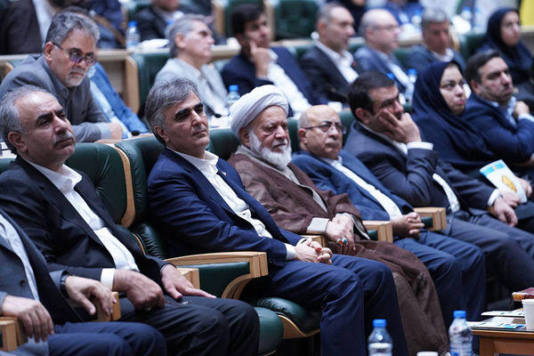 قدردانی فرزین از عملکرد بانک ملی ایران برای افزایش اختیارات استان ها