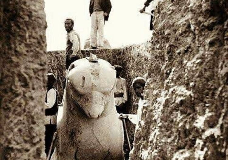 عکسی از تخت‌جمشید هنگام بیرون آوردن شیردال از دل خاک