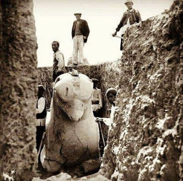 عکسی از تخت‌جمشید هنگام بیرون آوردن شیردال از دل خاک