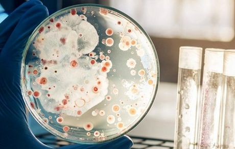 یک بیماری مرگ‌آور در کمین شماست!