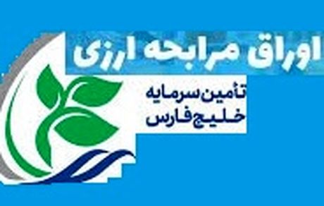 تامین مالی ارزی ۹۵۰ میلیون یورویی تامین سرمایه خلیج‌فارس برای ۶ طرح بزرگ پتروشیمی