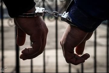 یک چهره مشهور ایرانی در آمریکا بازداشت شد