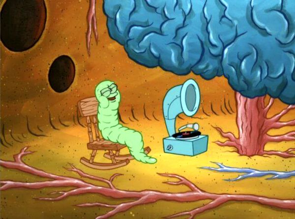 زنان بیشتر به کرم گوش مبتلا می‌شوند 